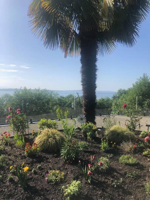 1-Bedroom Seaview Guesthouse On Seattle Luxury Estate With Views Of Olympic Mountains ภายนอก รูปภาพ