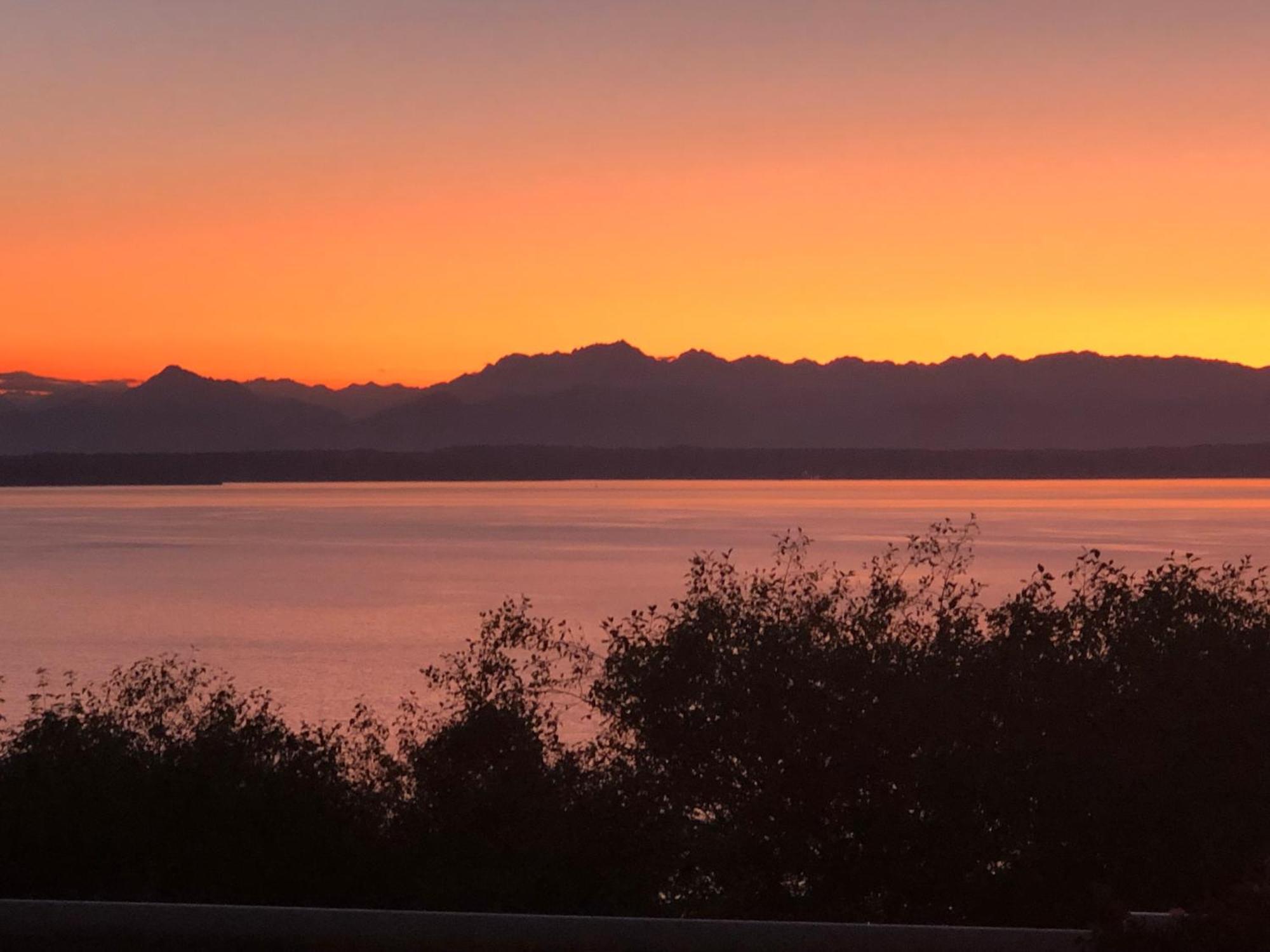 1-Bedroom Seaview Guesthouse On Seattle Luxury Estate With Views Of Olympic Mountains ภายนอก รูปภาพ